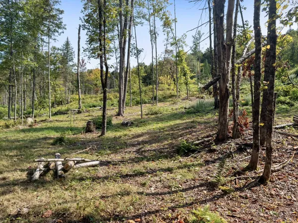 $108,000 | 219 Weber Brook Lane, Unit 1, Craftsbury, VT 05826