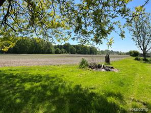 1464 South Force Road Attica, MI 48412 - Photo 7 of 26