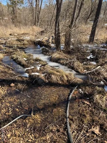 $159,900 | 15889 County Road 302, Eminence, MO 65466