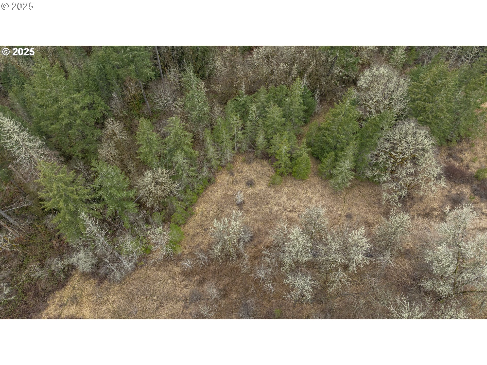 0 Northwest Panther Creek Road Yamhill, OR 97148 - Photo 24 of 28