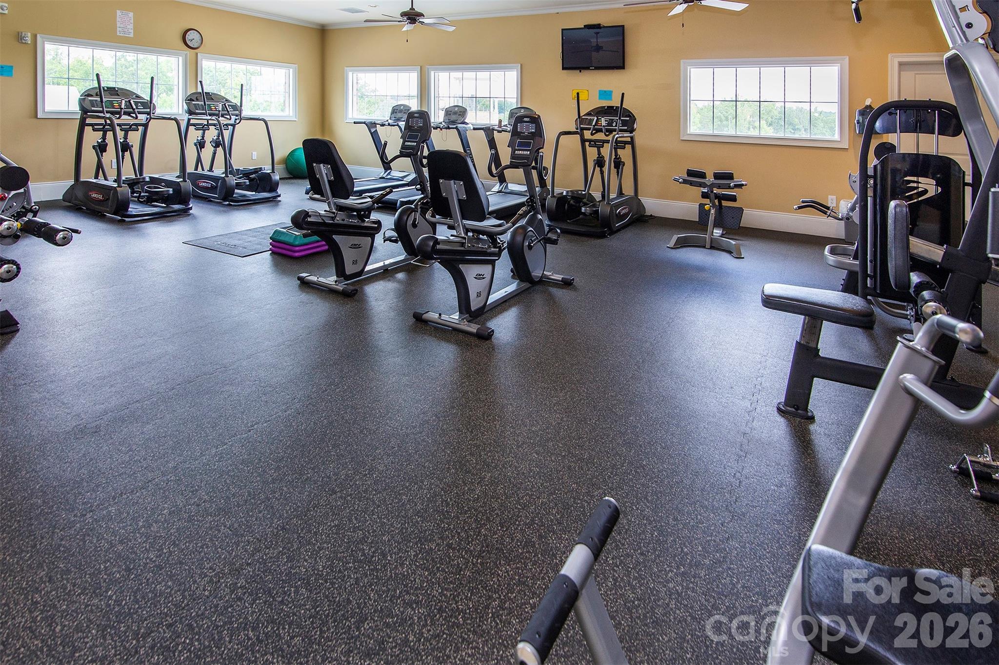4519 Waylon Avenue Fort Mill, SC 29715 - Photo 46 of 47