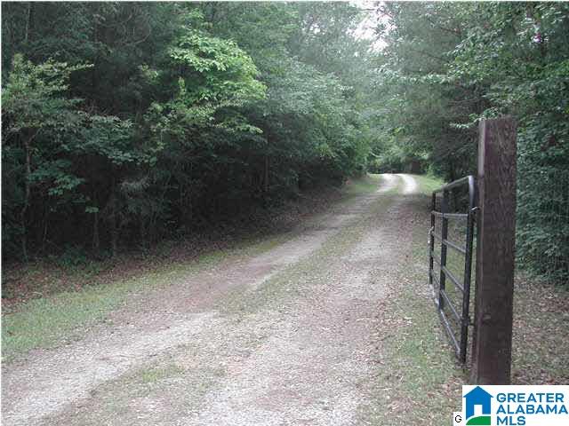 1115 Marvel Road Brierfield, AL 35035 - Photo 3 of 7