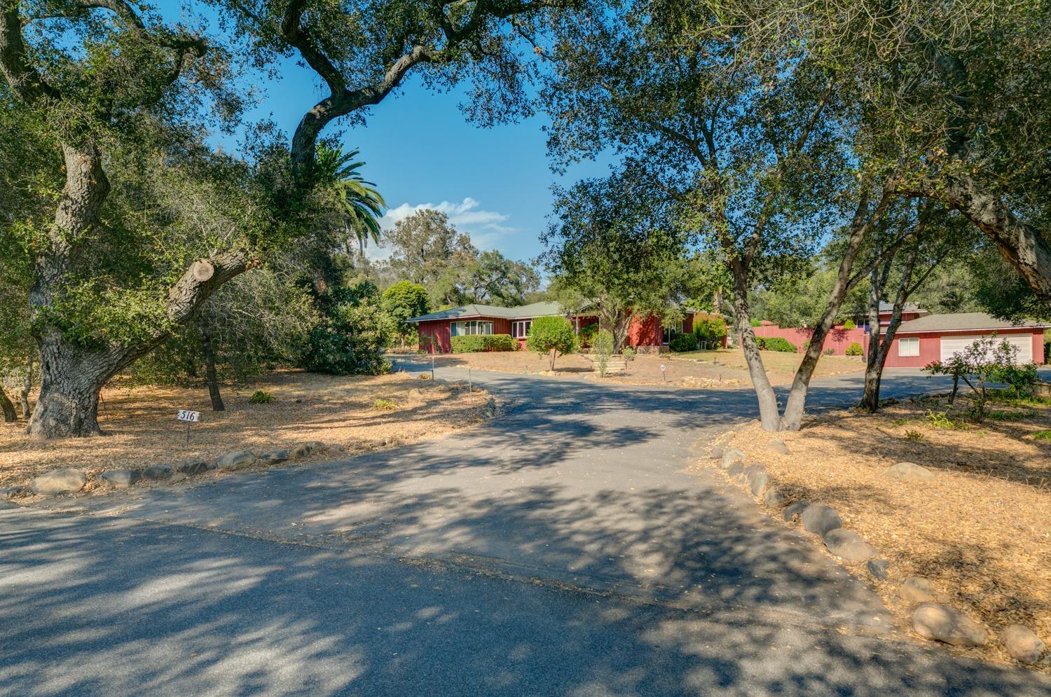 516 Palomar Road Ojai, CA 93023 - Photo 4 of 45 a view of a yard with plants and trees