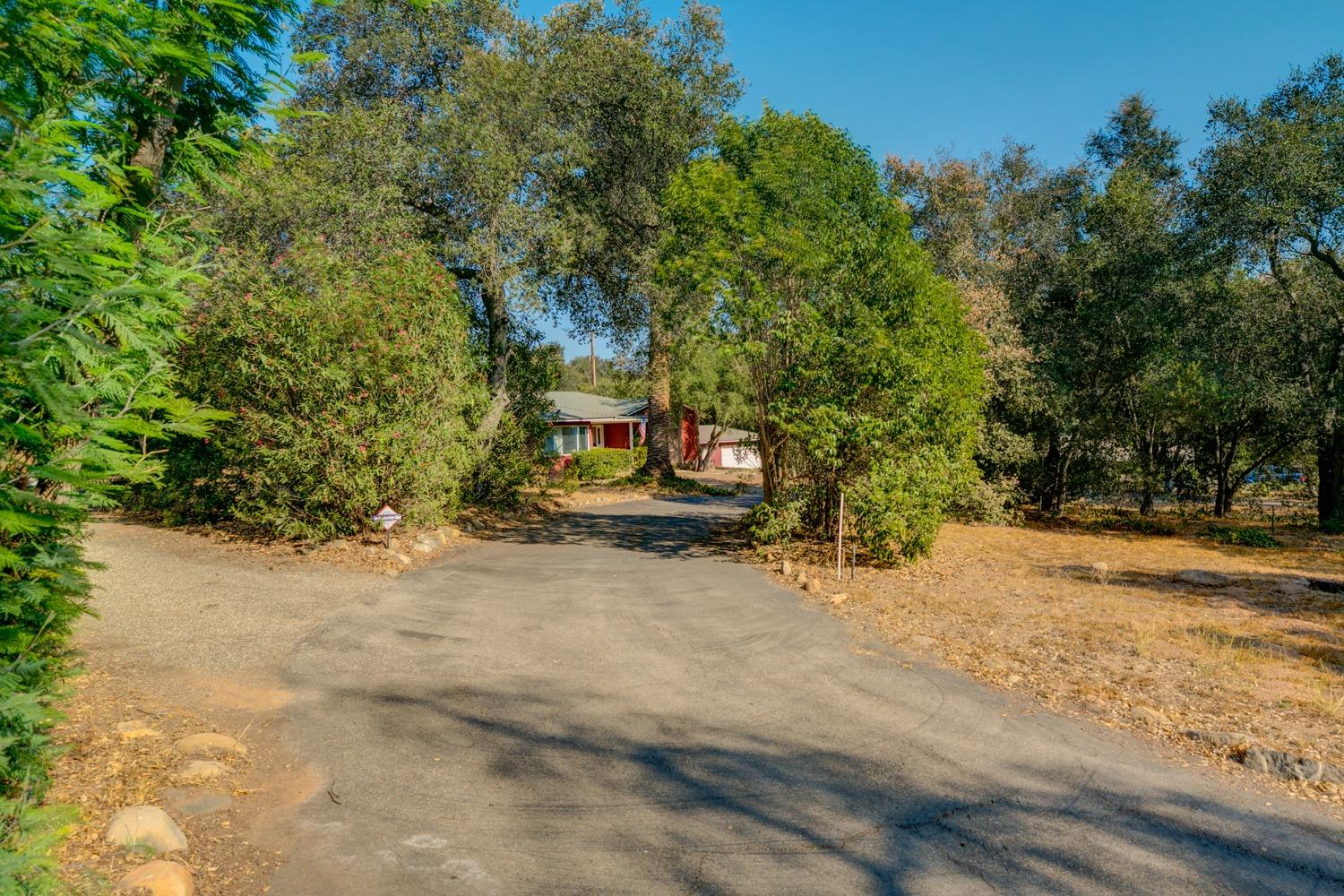 516 Palomar Road Ojai, CA 93023 - Photo 43 of 45 a view of a tree in front of a house