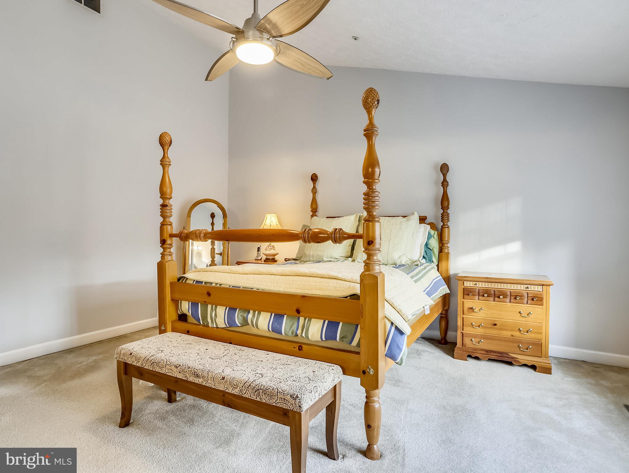 3253 Escapade Circle Riva, MD 21140 - Photo 17 of 61 Owners Bedroom With Wall To Wall Carpet