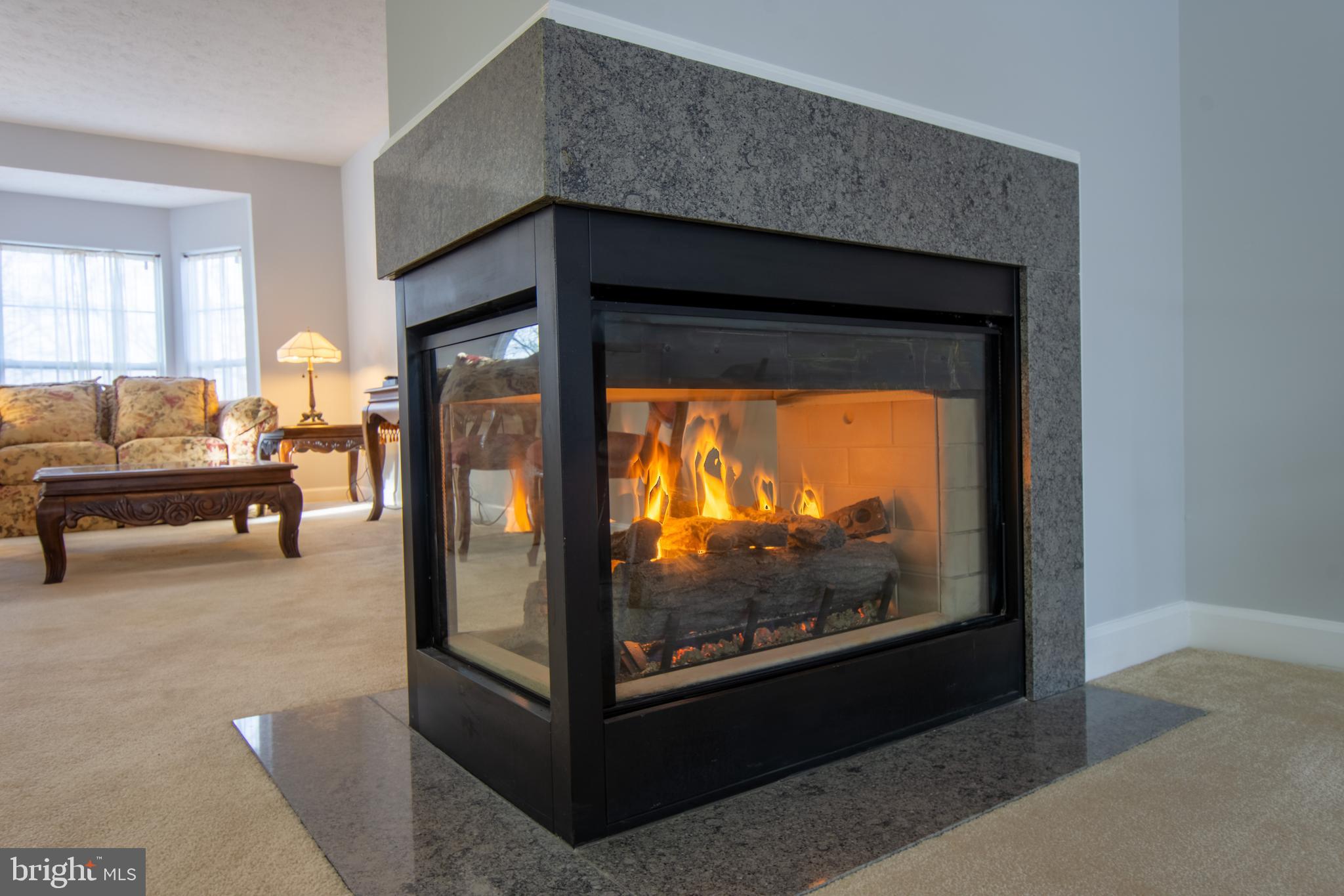 3253 Escapade Circle Riva, MD 21140 - Photo 6 of 61 Wonderful Heat From Gas Fireplace