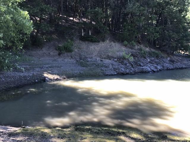 98 Ruth Lake, Unit NONE Mad River, CA 95552 - Photo 3 of 22