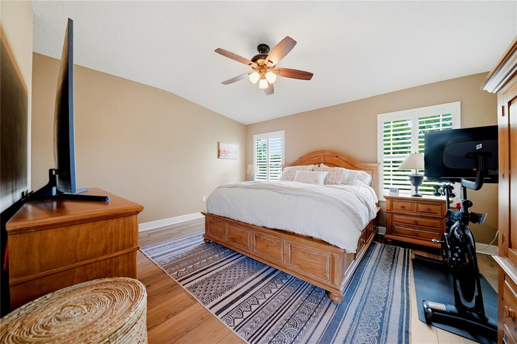 497 Harbor Ridge Drive Palm Harbor, FL 34683 - Photo 29 of 52