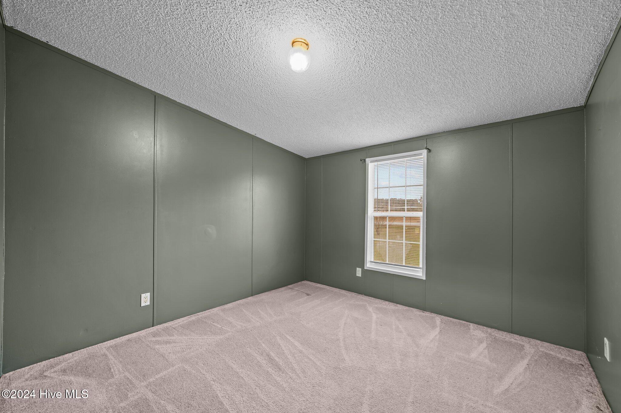1210 Sandy Ridge Road Robersonville, NC 27871 - Photo 24 of 49 24-web-or-mls-COX_4429