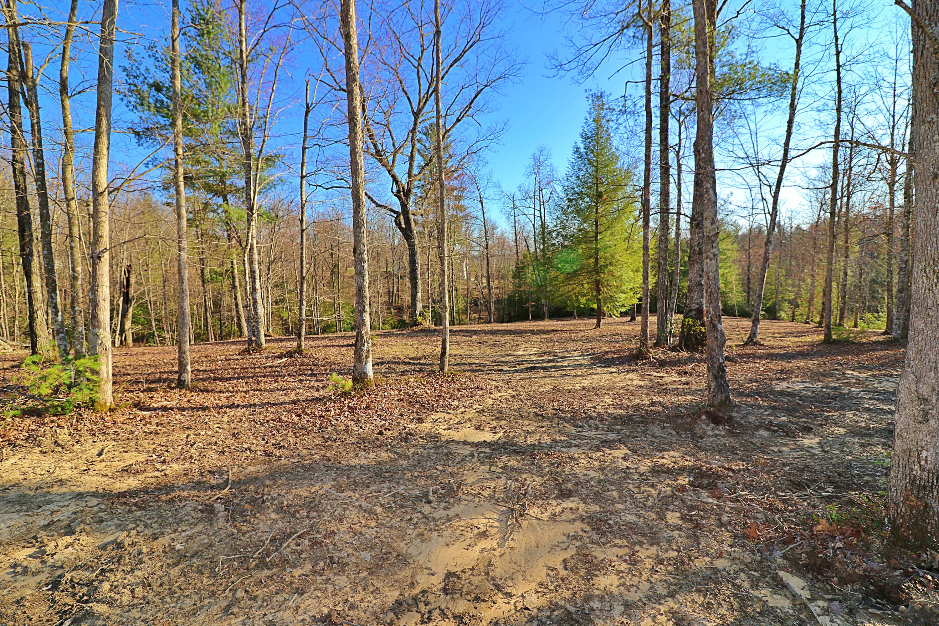 471 Toomey Falls Road Oneida, TN 37841 - Photo 25 of 31 094A8600