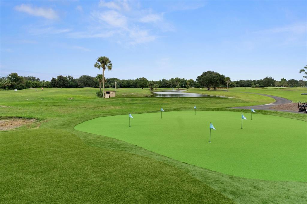 61 South Heron Creek Loop Inverness, FL 34450 - Photo 39 of 51