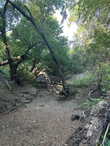 a view of outdoor space and yard