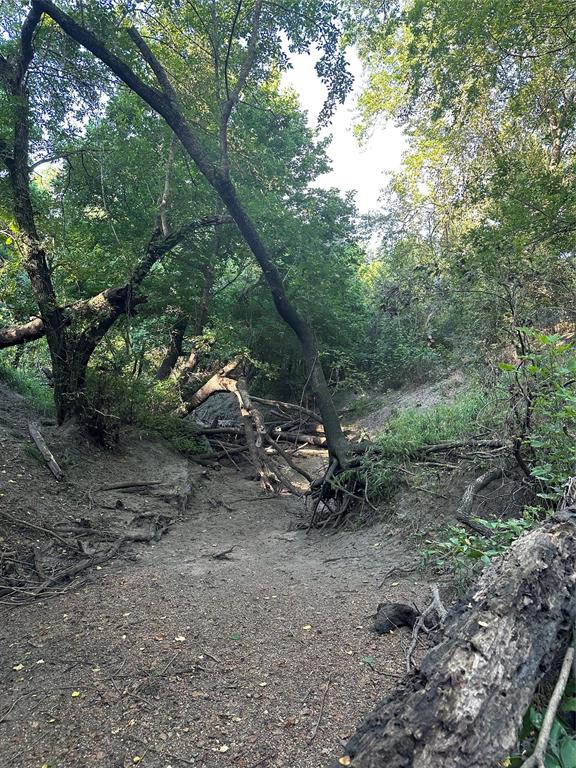 1245 W Groesbeck, TX 76642 - Photo 12 of 16 a view of a forest with trees in the background