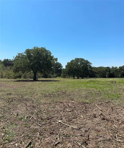 a view of a yard with a trees in the background