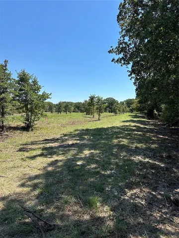 a view of an ocean from a yard