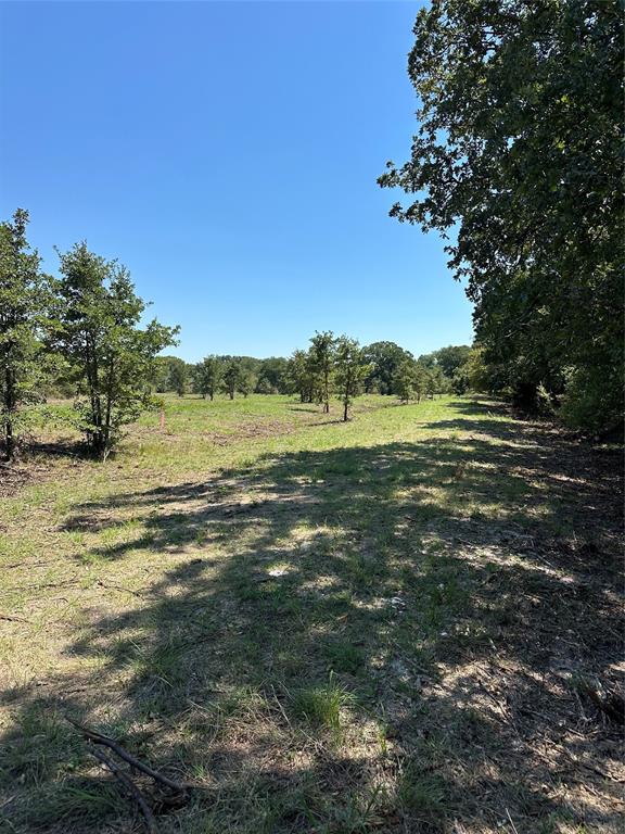 1245 W Groesbeck, TX 76642 - Photo 3 of 16 a view of an ocean from a yard