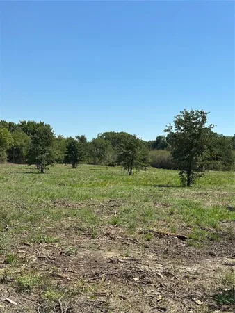 a view of a lush green forest with lots of trees