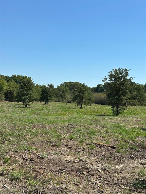 1245 W Groesbeck, TX 76642 - Photo 6 of 16 a big yard with lots of green space