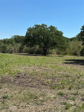a view of backyard with green space and trampoline