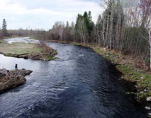 1497 Oxbow Road Oxbow, ME 04764 - Photo 13 of 19 Other. Aroostook River Behind You.