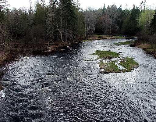 1497 Oxbow Road Oxbow, ME 04764 - Photo 14 of 19 Other. Aroostook County Has Room To...