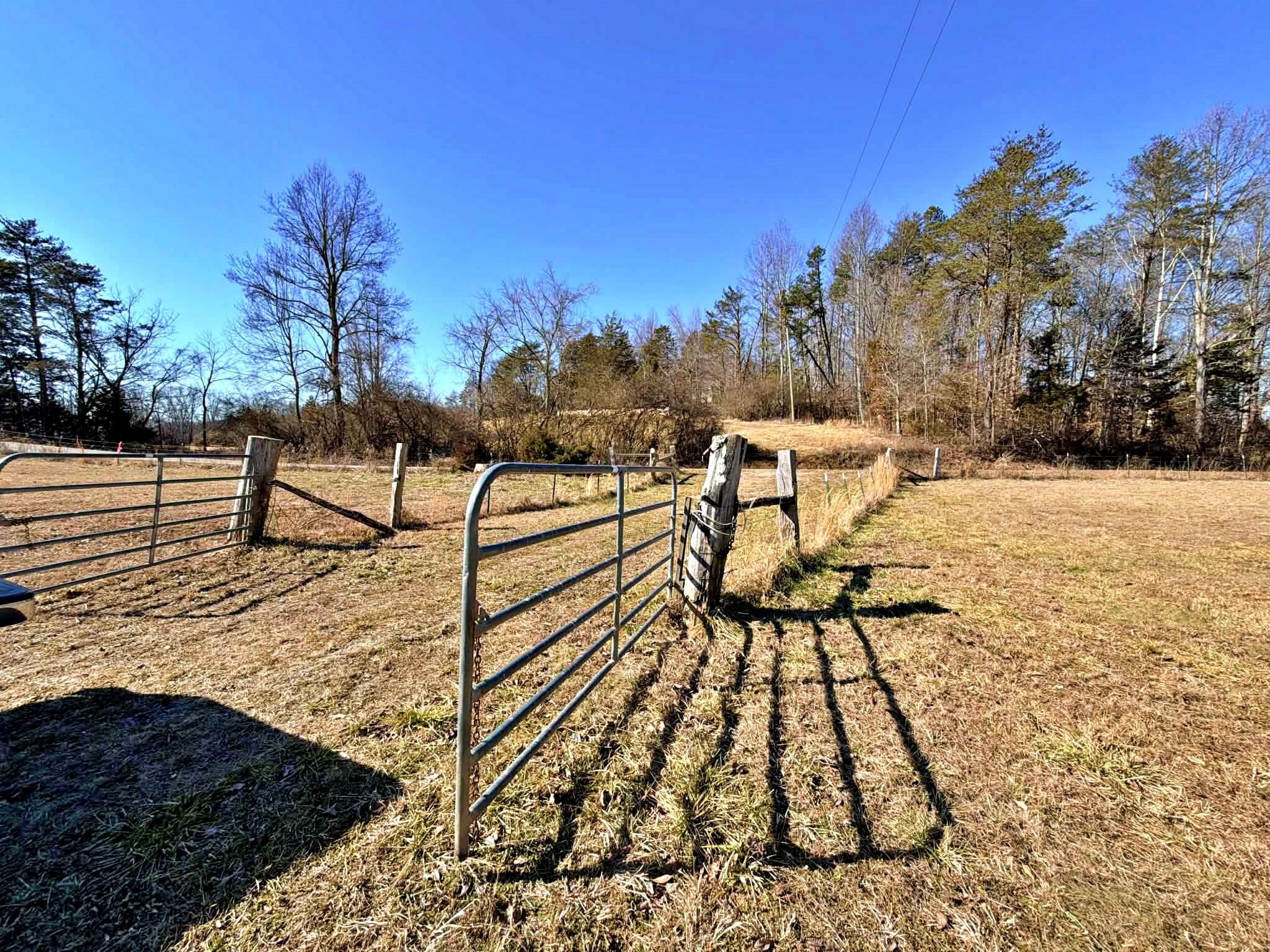 1678 Ward Road Decatur, TN 37322 - Photo 4 of 20 Gallery Image 4