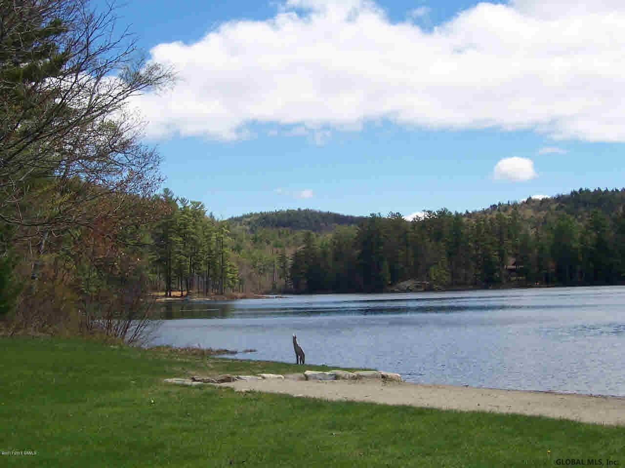 53 Summit Road Horicon, NY 12815 - Photo 39 of 44 Photo 39