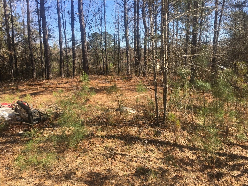 11 Island Creek Road Seale, AL 36875 - Photo 11 of 11 Gallery Image 11