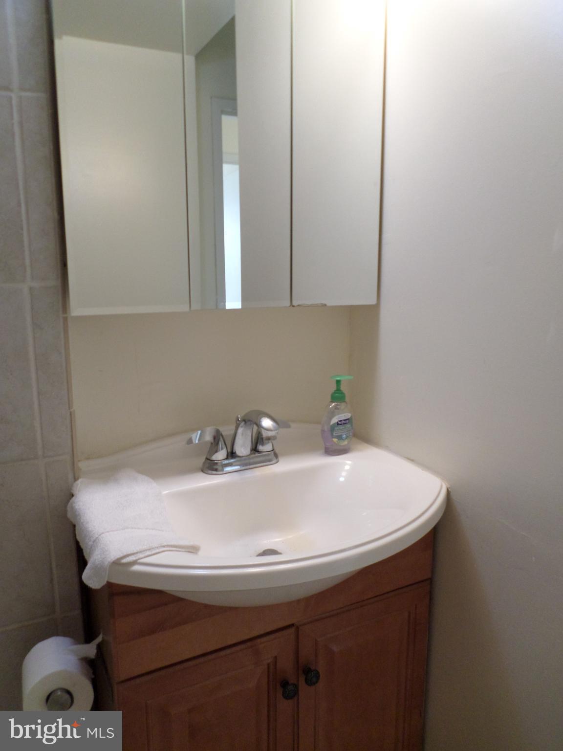 9900 Georgia Avenue, Unit 27707 Silver Spring, MD 20902 - Photo 13 of 29 bathroom sink and mirror