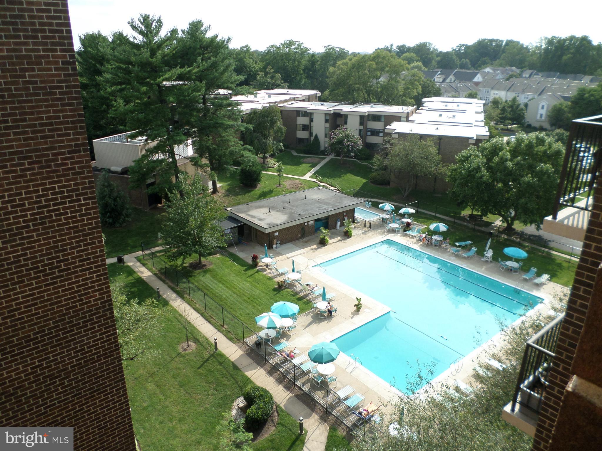 9900 Georgia Avenue, Unit 27707 Silver Spring, MD 20902 - Photo 17 of 29 pool view