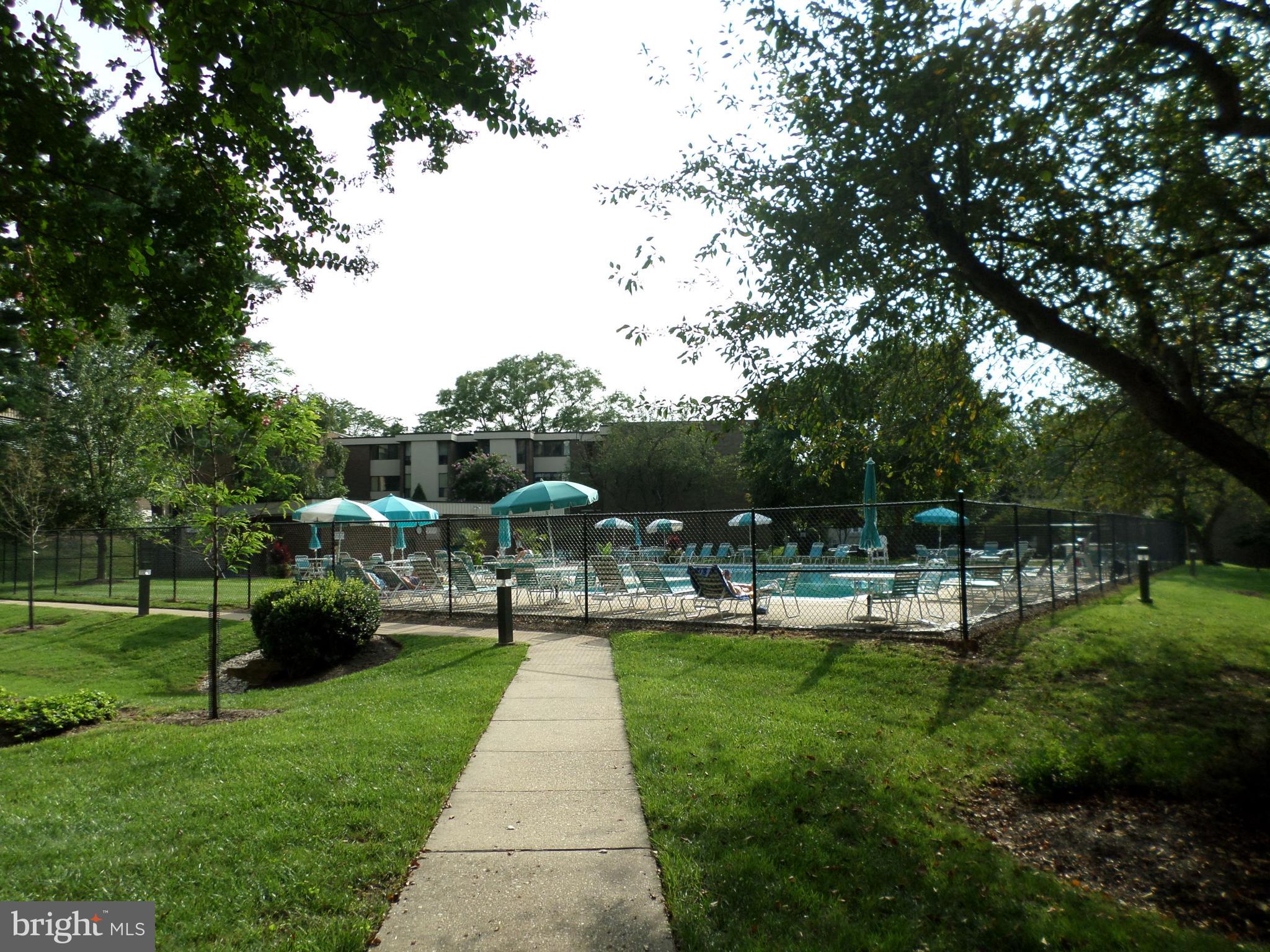 9900 Georgia Avenue, Unit 27707 Silver Spring, MD 20902 - Photo 22 of 29 walk-way to pool from rear entrance