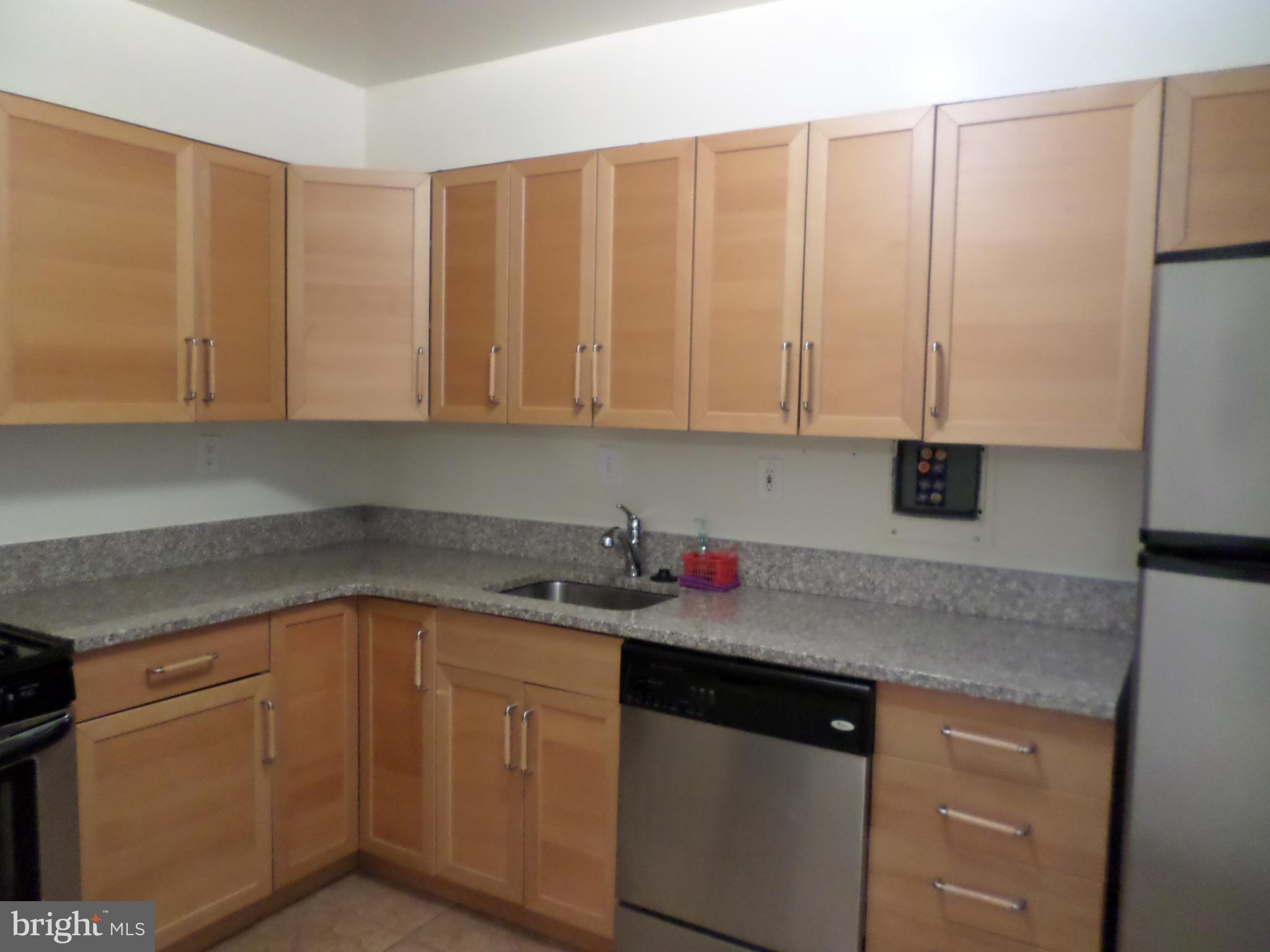 9900 Georgia Avenue, Unit 27707 Silver Spring, MD 20902 - Photo 4 of 29 Kitchen with dishwasher & lots of cabinets