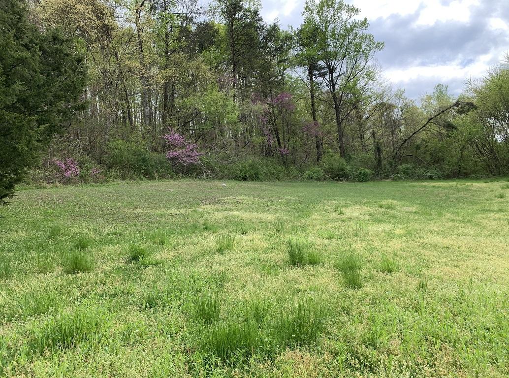 310 Rocky Summit Road Bean Station, TN 37708 - Photo 5 of 15 Photo 5