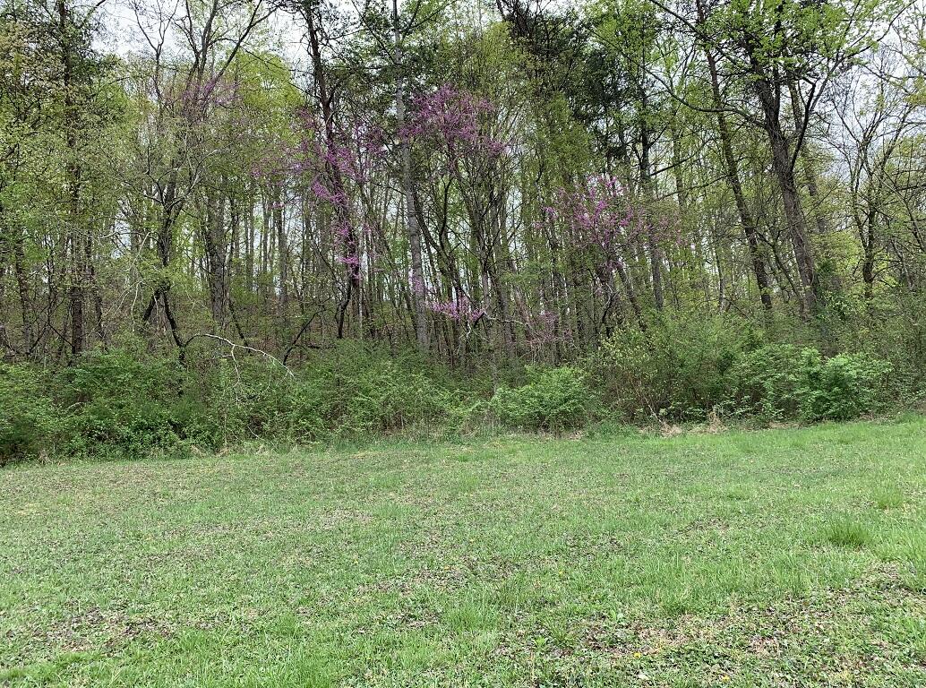 310 Rocky Summit Road Bean Station, TN 37708 - Photo 7 of 15 Photo 7