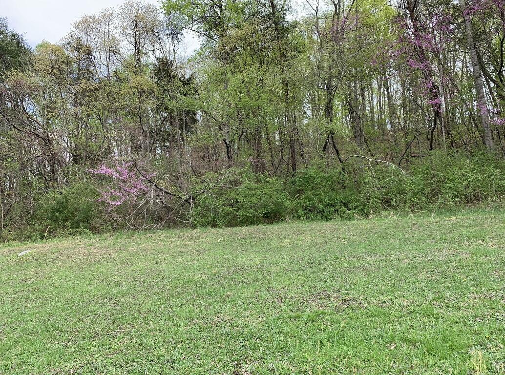310 Rocky Summit Road Bean Station, TN 37708 - Photo 8 of 15 Photo 8