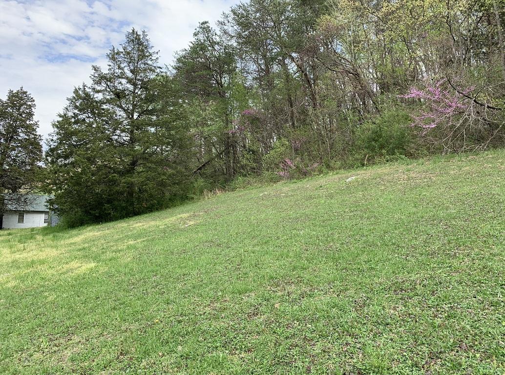 310 Rocky Summit Road Bean Station, TN 37708 - Photo 9 of 15 Photo 9