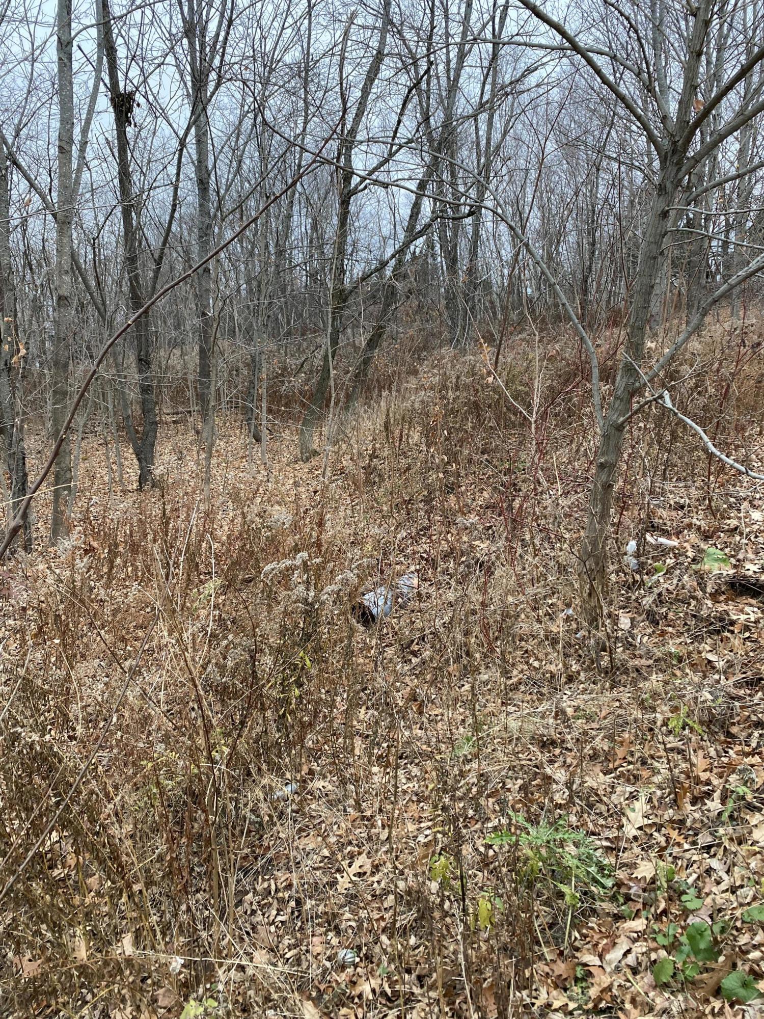 1 Luckys Landing Road Glenburn, ME 04401 - Photo 13 of 18 AA1B5CFF-5A12-4B90-A2F8-B31E2458AEFD