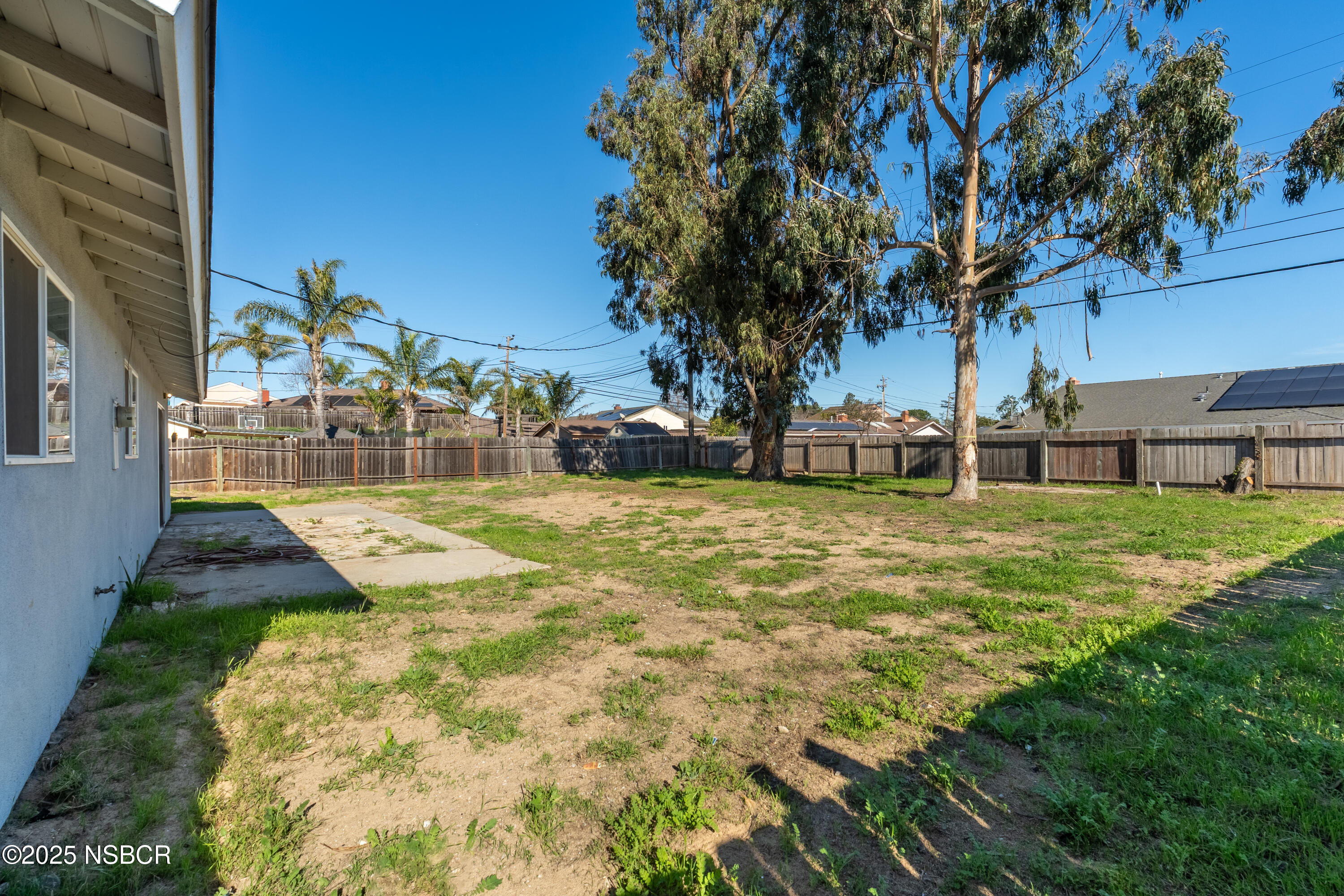 4564 South Bradley Road Santa Maria, CA 93455 - Photo 14 of 16 a view of yard with tree