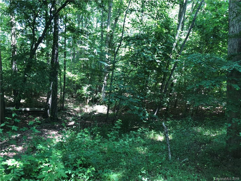 675 East Butler Road Ellenboro, NC 28040 - Photo 27 of 33 Gallery Image 27