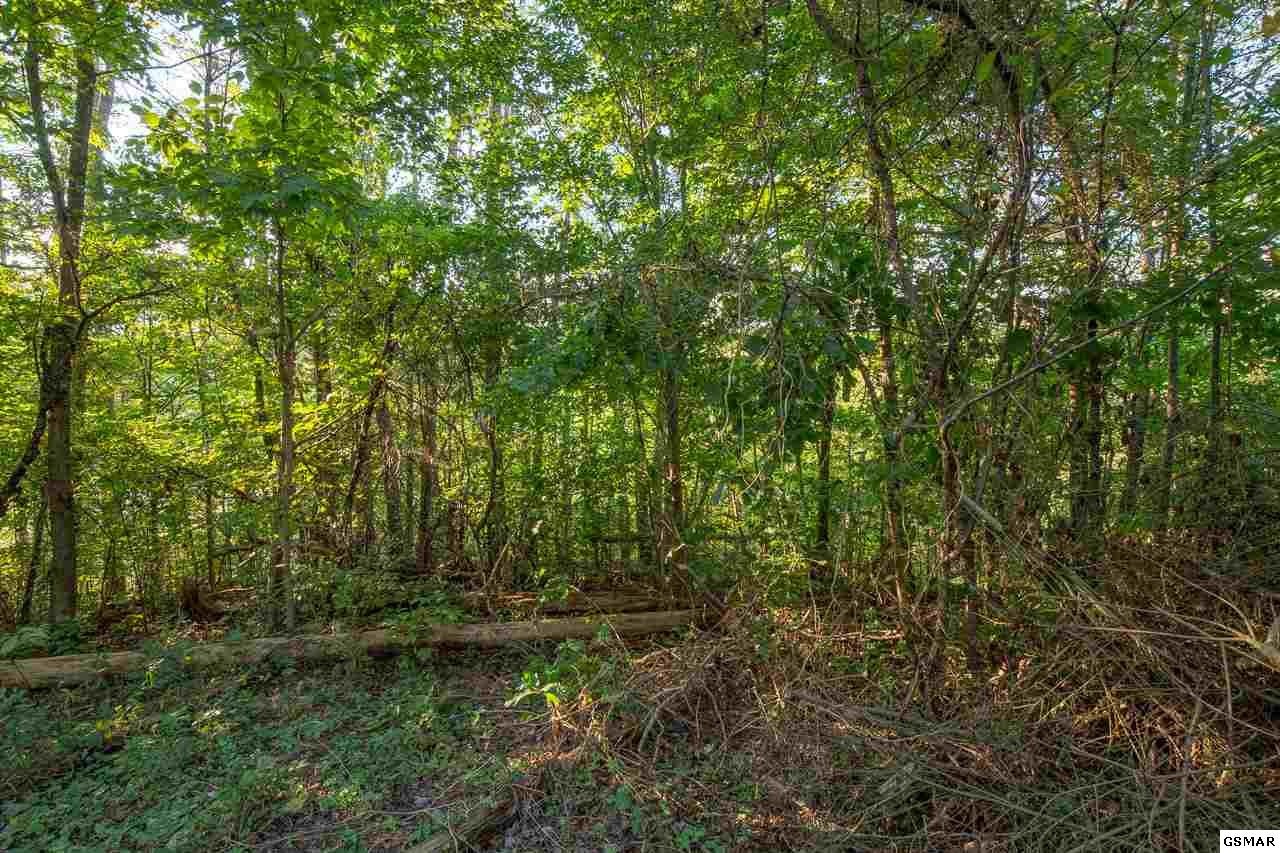 2219222 Goose Gap Road Sevierville, TN 37876 - Photo 8 of 12