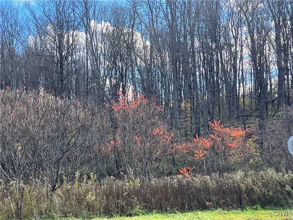 $34,900 | 0 Nys Route 28, Poland, NY 13431