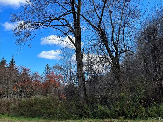 $39,000 | 0 Nys Route 28, Poland, NY 13431