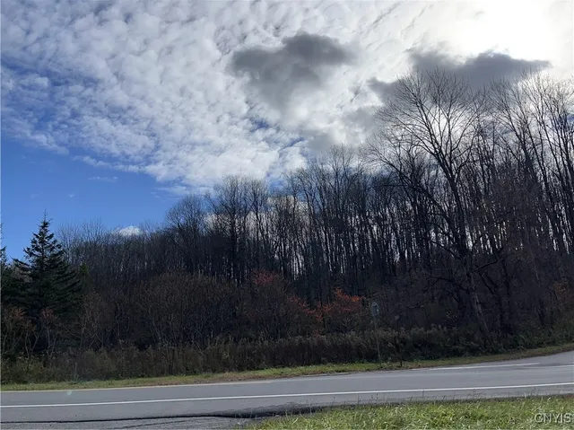 $39,000 | 0 Nys Route 28, Poland, NY 13431