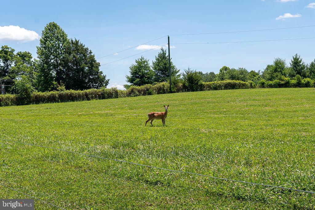 11310 St Just Road Unionville, VA 22567 - Photo 14 of 22 Gallery Image 14