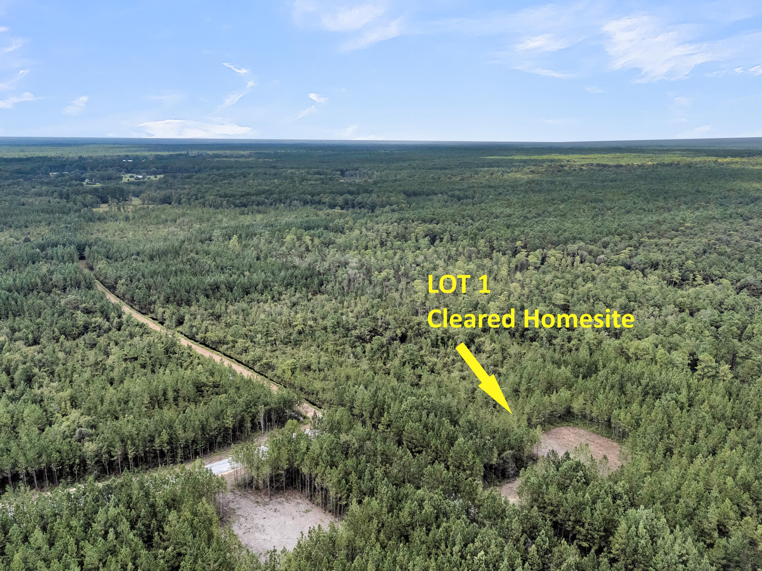 2038 Silas Road McClellanville, SC 29458 - Photo 3 of 8 CREM - 0 Silas Rd-6arrow lot 1 only