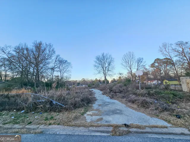 a view of a dry yard with trees