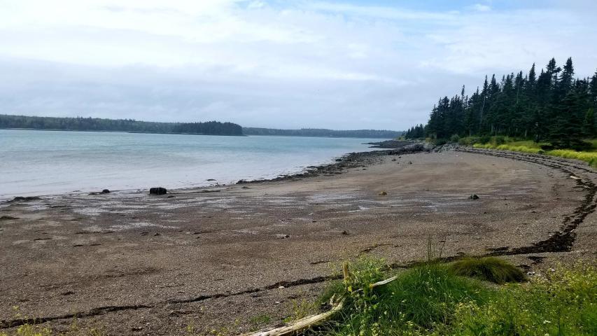 85 Yoho Head Road Machiasport, ME 04655 - Photo 8 of 8 20190808173256213621000000-o