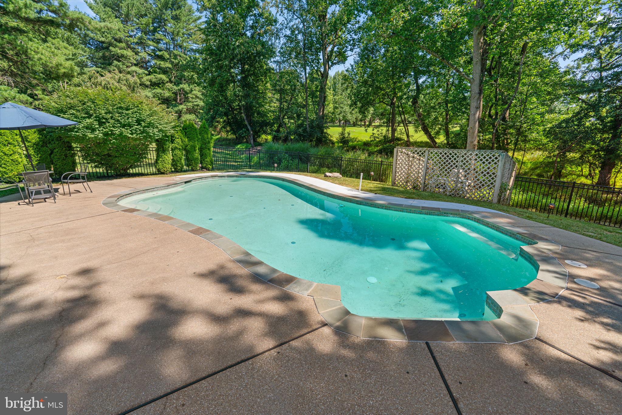 11067 Gaither Farm Road Ellicott City, MD 21042 - Photo 75 of 103 Pool with shelf seating