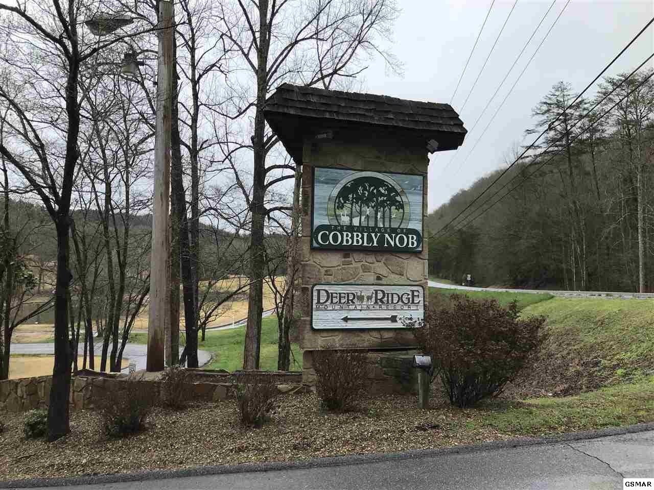 4 Butler Branch Road Gatlinburg, TN 37738 - Photo 3 of 4