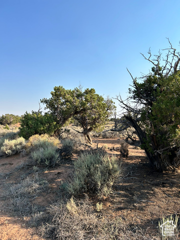 18687 West Smiley Road, Unit 33 Duchesne, UT 84021 - Photo 5 of 14 View of undeveloped land